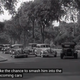 Image for article titled This 1936 Chevrolet Film About Driving Courtesy Is Absolutely Unhinged And Has A Dude Getting His Ass Kicked At The Opera